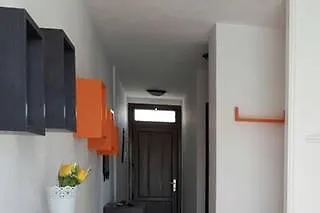 Halcon * طوستا ديل سيلونثيو
